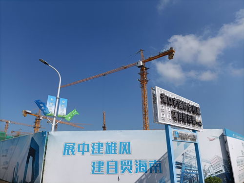 2021年海南省建设工程质量安全标准化观摩会暨中国建筑开放日在海口国际免税城项目举行